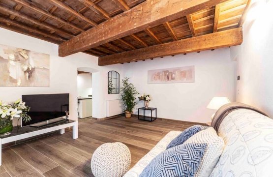 Short rent Flat City Firenze Toscana