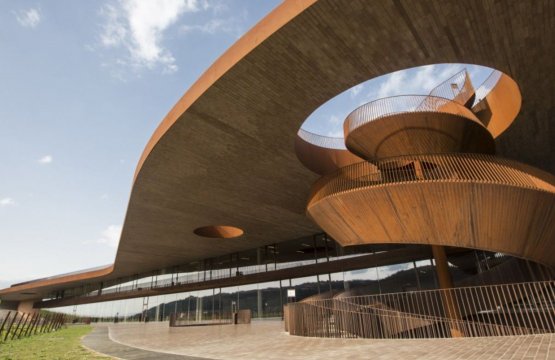 Antinori Wine Experience: Lusso e Tradizione  
