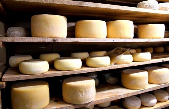 Degustazione di vini e formaggi - Tour Slow food  