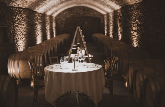 Degustazione di vini e cena romantica in una cantina di lusso  