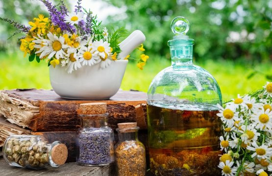 Passeggiate floreali e cucina nella natura  