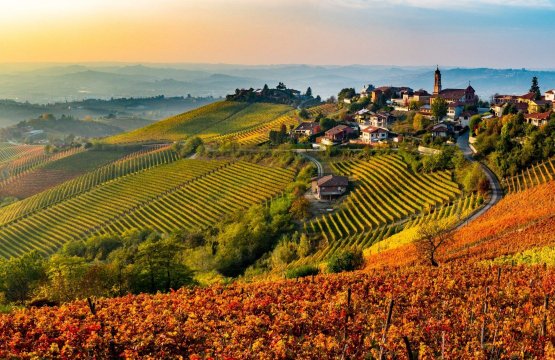 Tra Langhe e Cinque Terre, sulle tracce del gusto  