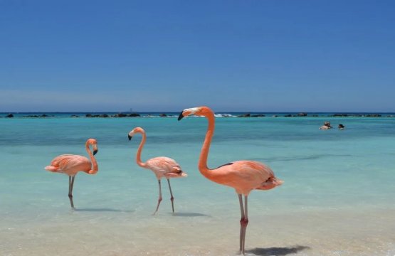 Raffinatezza e Natura: Argentina, Galapagos, Aruba  
