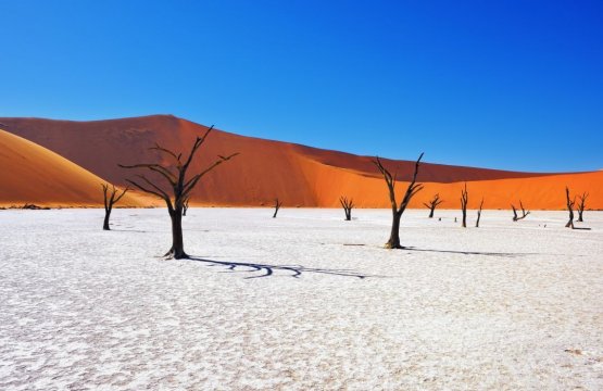 Lusso fra Mare e Deserto: Namibia e Seychelles  