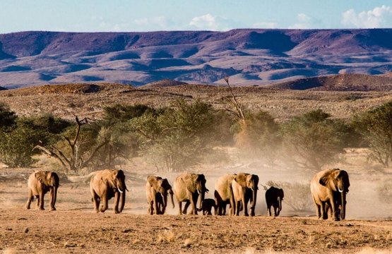 Lusso fra Mare e Deserto: Namibia e Seychelles  