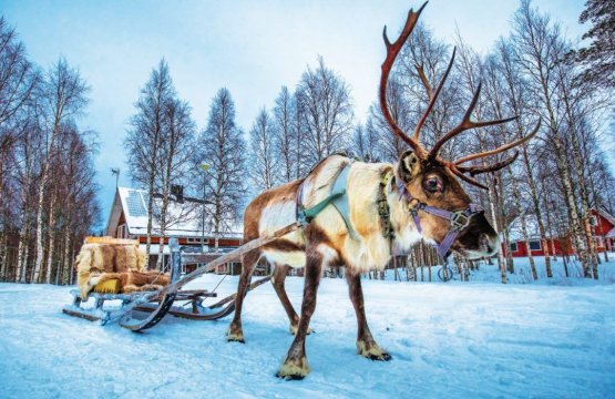Weekend di Magia in Lapponia  