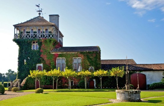 Sensorial Wine Experiences a Bordeaux (Francia)  
