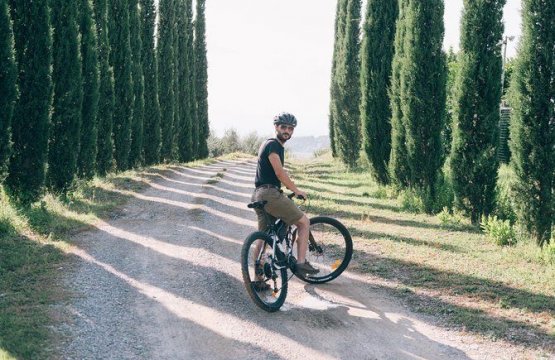 San Gimignano: Bike tour tra le colline toscane  