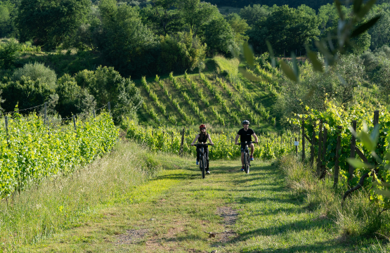 Montecarlo: E-bike Tour con pranzo e degustazioni di vini  